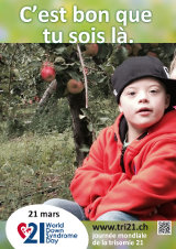 Affiche "do it yourself" pour le 21 mars 2016