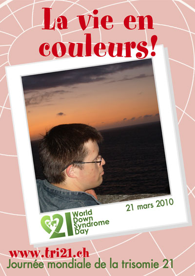 Affiches 10 'La vie en couleurs'