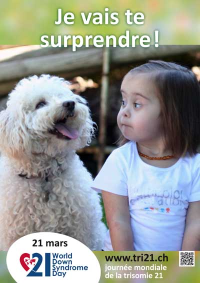 Affiches 13 'Je vais te surprendre !'
