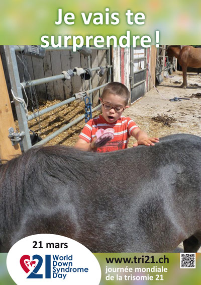 Affiches 13 'Je vais te surprendre !'
