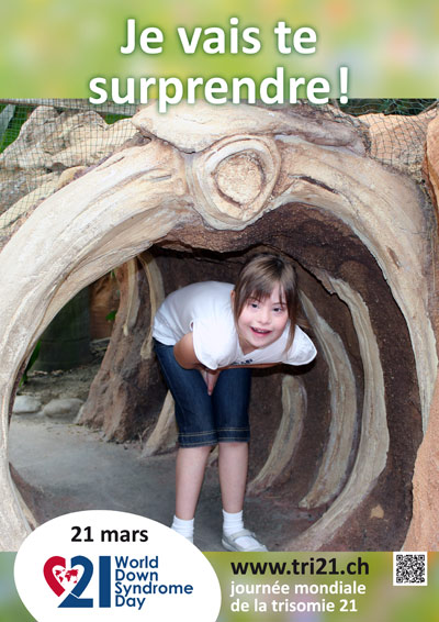 Affiches 13 'Je vais te surprendre !'