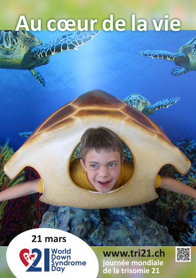 Affiches 14 'Au c&oelig;ur de la vie'