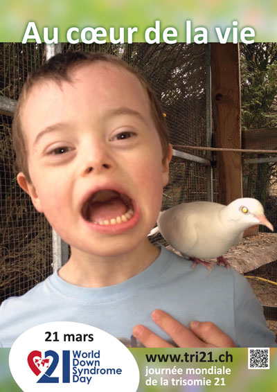 Affiches 14 'Au c&oelig;ur de la vie'