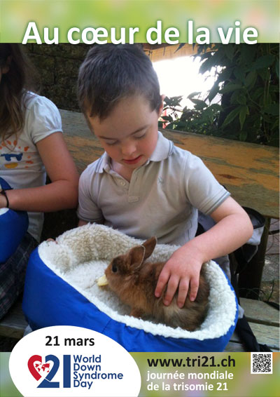 Affiches 14 'Au c&oelig;ur de la vie'