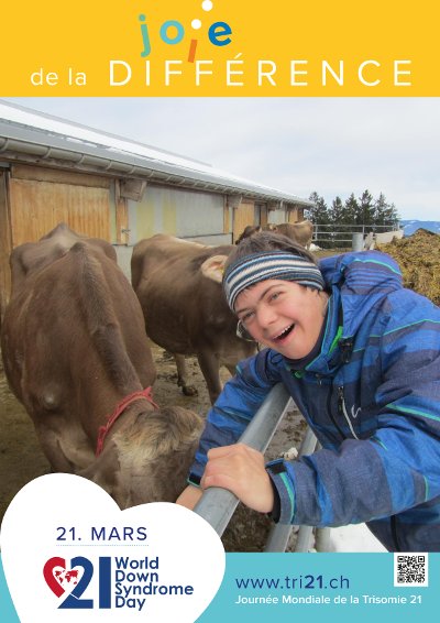 Affiches 17 'joie de la différence'