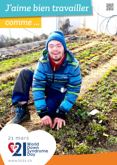 Affiches 22 'Quand je serai grand, je serai... / J'aime bien travailler comme...'